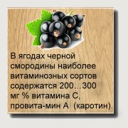 Смородина — одна из наиболее ценных ягодных культур. Это объясняется высоким содержанием в ягодах витаминов и биологически активных веществ, обладающих лечебными свойствами. В ягодах черной смородины наиболее витаминозных сортов содержатся 200...300 мг % витамина С, провитамин А (каротин). Сорта смородины